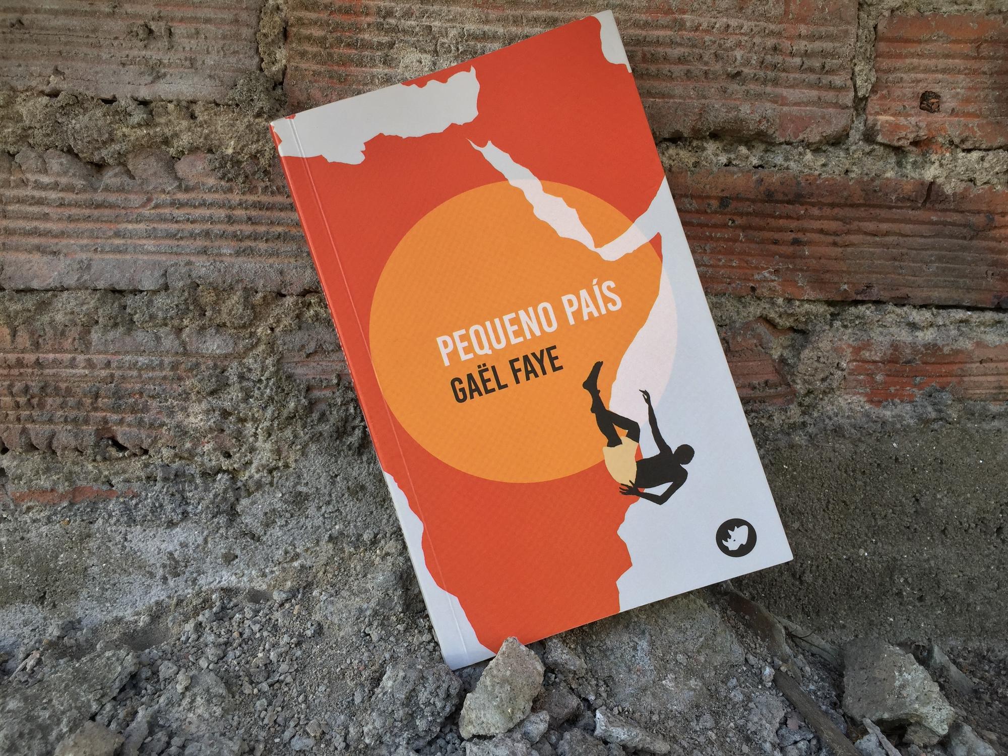 Pequeno País Faye Ricnoceronte editora